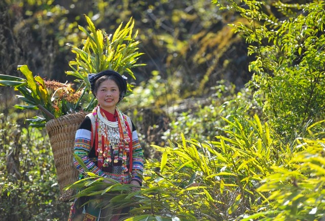 Cô giáo người Dao Chảo Thị Lan.