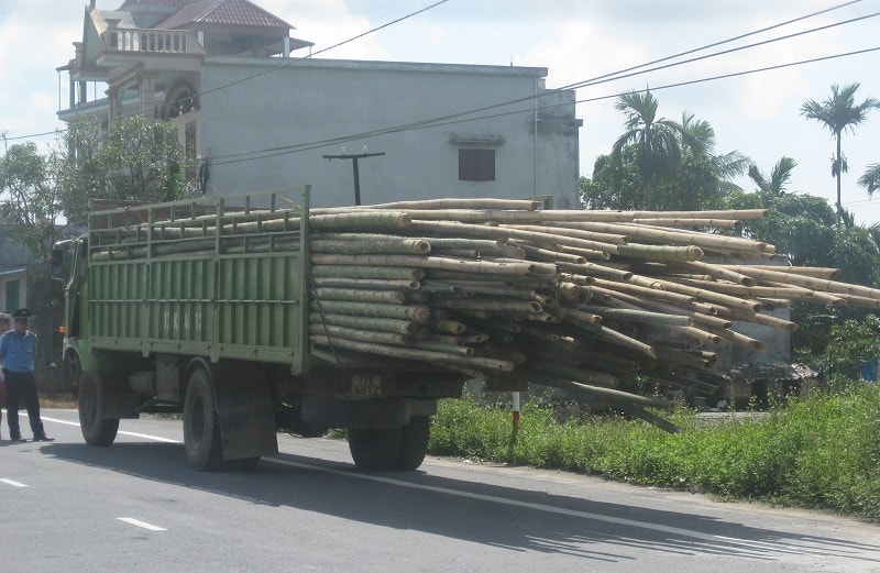 Từ đầu năm đến nay Thanh tra GTVT từ đầu năm đến nay đã kiểm tra 8.017 xe, xử lý 23 xe vi phạm tải trọng, tổng xử lý 402 trường hợp vi phạm về trật tự, an toàn giao thông (ATGT), thu nộp ngân sách gần 800 triệu đồng