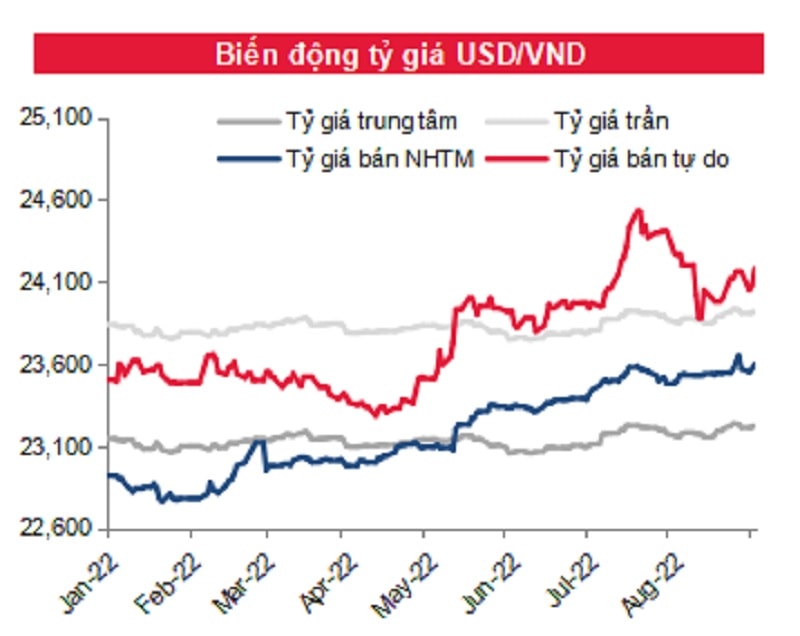 áp lực về mặt tỷ giá vẫn còn tương đối lớn khi đồng USD duy trì sức mạnh với việc chỉ số DXY đã tăng lên mức cao nhất trong vòng 20 năm qua. Nguồn: SSI Research