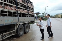 Cần làm rõ một số quy định tại Dự thảo Thông tư sửa đổi các Thông tư về kiểm dịch