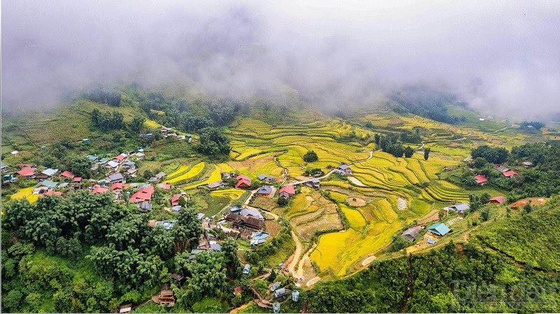 Mùa lúa chín được xem là thời gian đẹp nhất để đến Sa Pa (Lào Cai), cảm nhận tiết trời se lạnh, thưởng ngoạn không gian ruộng bậc thang vàng ruộm ấn tượng (Ảnh: Xuân Thuỷ)