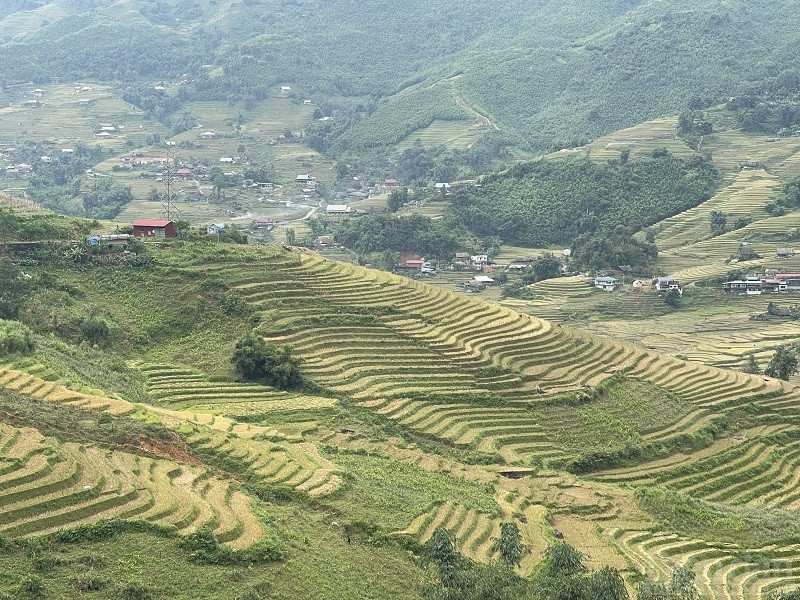 Vẻ đẹp thanh bình tại Sa Pa