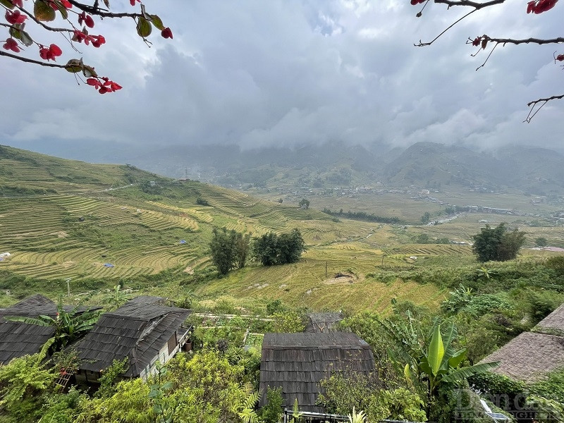 Vẻ đẹp hoang sơ thanh bình, lại là điểm níu bước chân du khách mỗi khi có dịp đặt chân đến Sa Pa