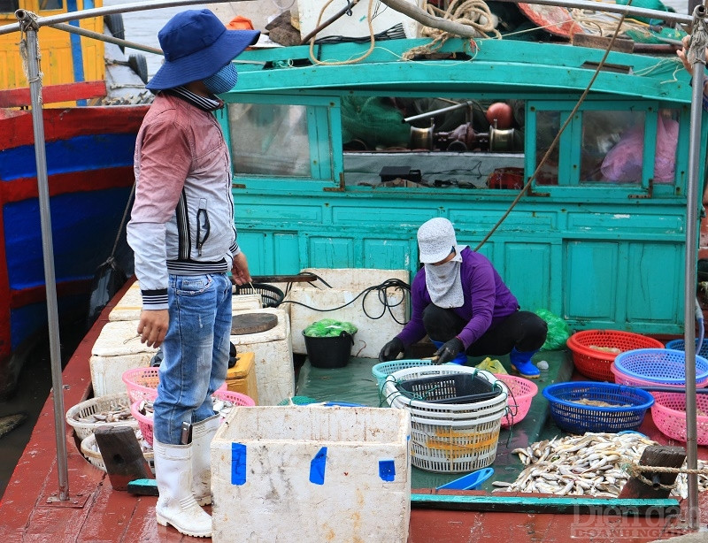 TP Hải Phòng yêu cầu các chủ tàu cá thuộc diện phải lắp đặt thiết bị giám sát hành trình khẩn trương lắp đặt, đảm bảo 100% tàu cá hoàn thành lắp đặt trong tháng 9/2022