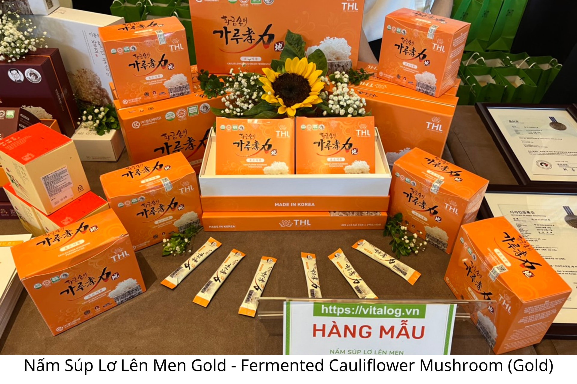 Công ty CP Giải pháp Sức khỏe và Sắc đẹp Thành Lộc (THL): Tạo dựng thương hiệu từ các sản phẩm sức khỏe chất lượng cao