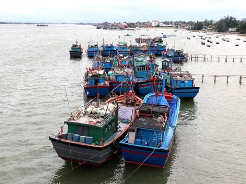 Nam Định kiên quyết không cho ra khơi những tàu cá không bảo đảm các yêu cầu theo quy định