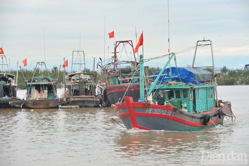 Để thực hiện hóa việc xây dựng Hải Phòng trở thành Trung tâm chế biến thủy sản trọng điểm của cả nước, ngành thủy sản Hải Phòng đặt mục tiêu năm 2022 tổng sản lượng thủy sản tăng 5.000 tấn so với năm 2021.