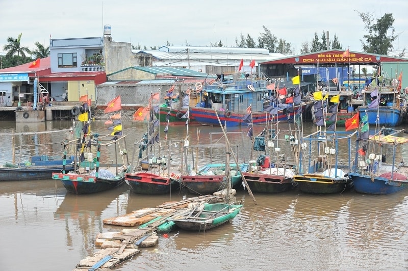 Nhiều mô hình nuôi trồng thủy sản mới, nâng cao chất lượng nuôi đạt giá trị kinh tế cao