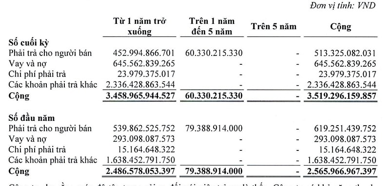 Mặc dù Vimid cho rằng mức độ rủi ro tập trung trả nợ là thấp, song việc trả nợ chủ yếu 