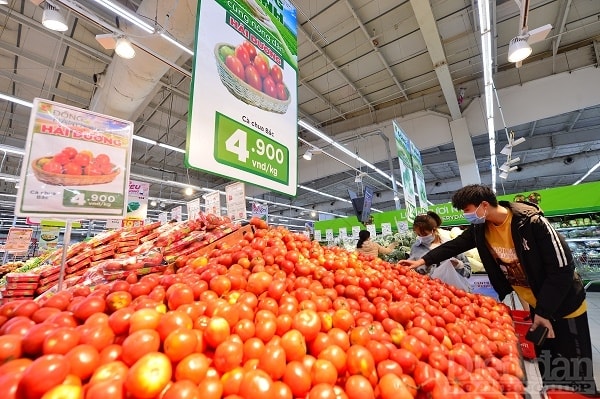 Đây là các khoản chi rất lớn đè nặng lên các doanh nghiệp Việt. Ảnh minh hoạ: Quốc Tuấn