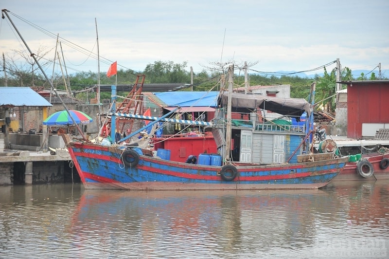 Việt Nam đang nằm trong danh sách 7 quốc gia nhận thẻ vàng của Ủy ban châu Âu (EC) đối với sản phẩm hải sản khai thác. Để chung tay cùng cả nước nỗ lực gỡ thẻ vàng của EC, những năm qua, Hải Phòng luôn quyết liệt triển khai đồng bộ các giải pháp. Trong đó, phải kể đến công tác quản lý khai thác thuỷ sản