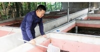 Làm giàu thành công từ nuôi lươn không bùn