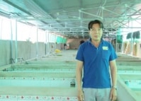Khởi nghiệp thành công với mô hình nuôi lươn không bùn