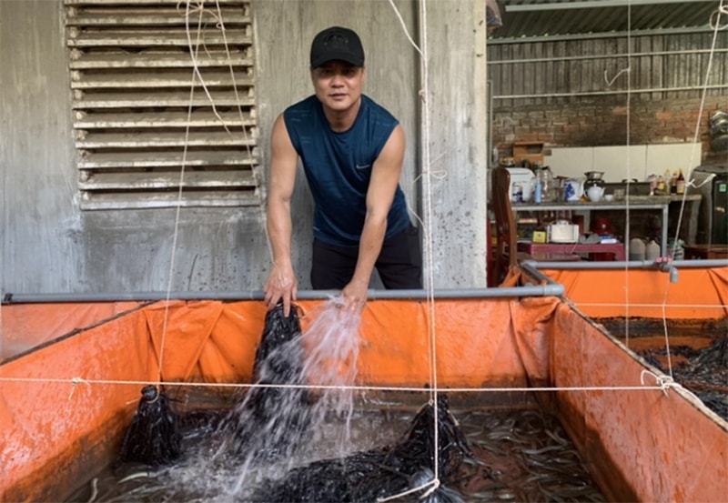 Từng là một tài xế không biết gì về nông nghiệp, anh Đạo giờ đã trở thành 