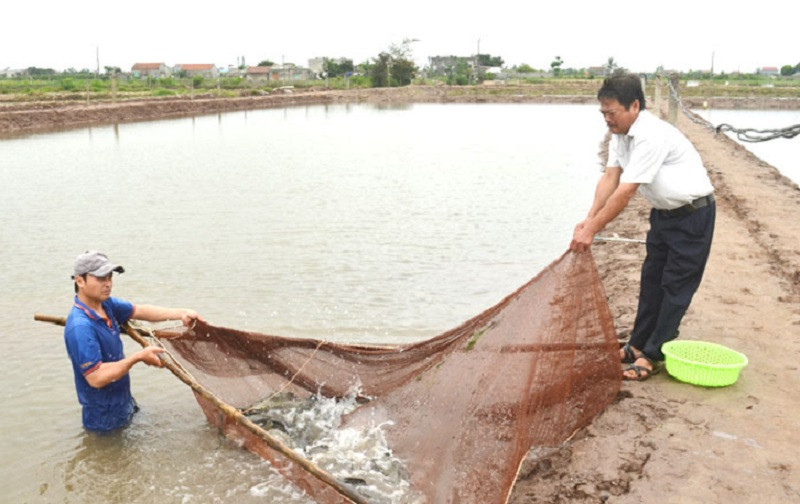 Khai thác tiềm năng, thế mạnh vùng kinh tế biển (KTB) được tỉnh Nam Định xác định là 1 trong 9 giải pháp đưa KTB trở thành ngành kinh tế động lực của tỉnh (ảnh báo Nam Định)