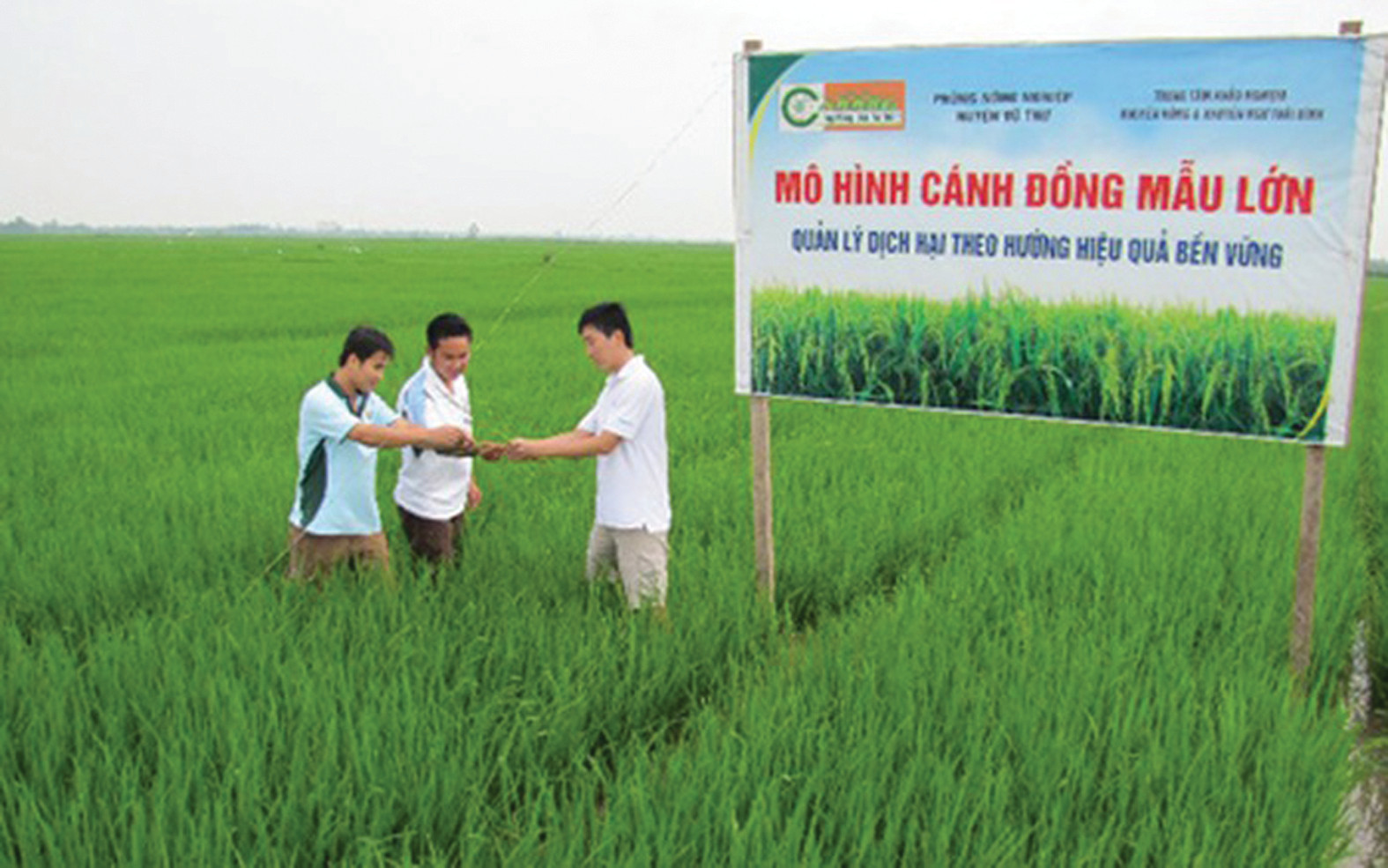  Ngân hàng Quỹ đất nông nghiệp đóng vai trò trung gian giữa chủ sử dụng đất và Nhà đầu tư để thực hiện các giao dịch về đất nông nghiệp. 