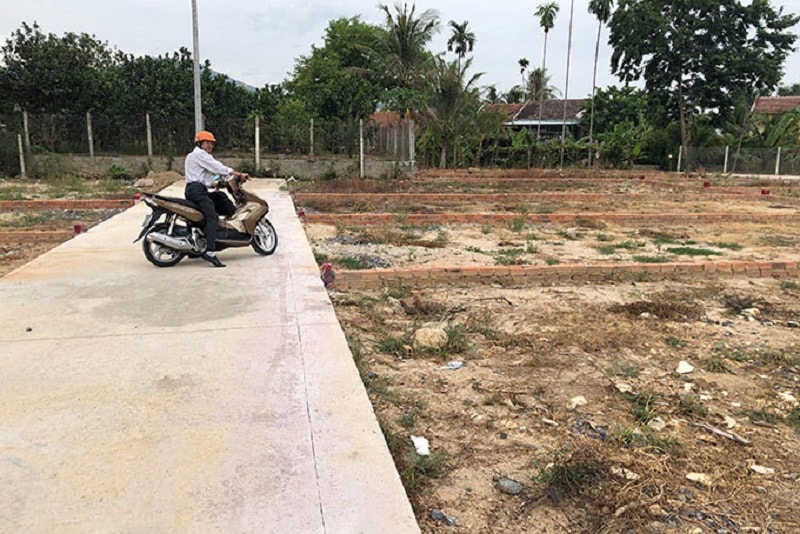 nhiều huyện ven trung tâm của TP Hà Nội như Thạch Thất, thị xã Sơn Tây… cho phép chuyển đổi những khu đất trồng cây lâu năm hàng nghìn m2 sang đất ở - Ảnh minh họa