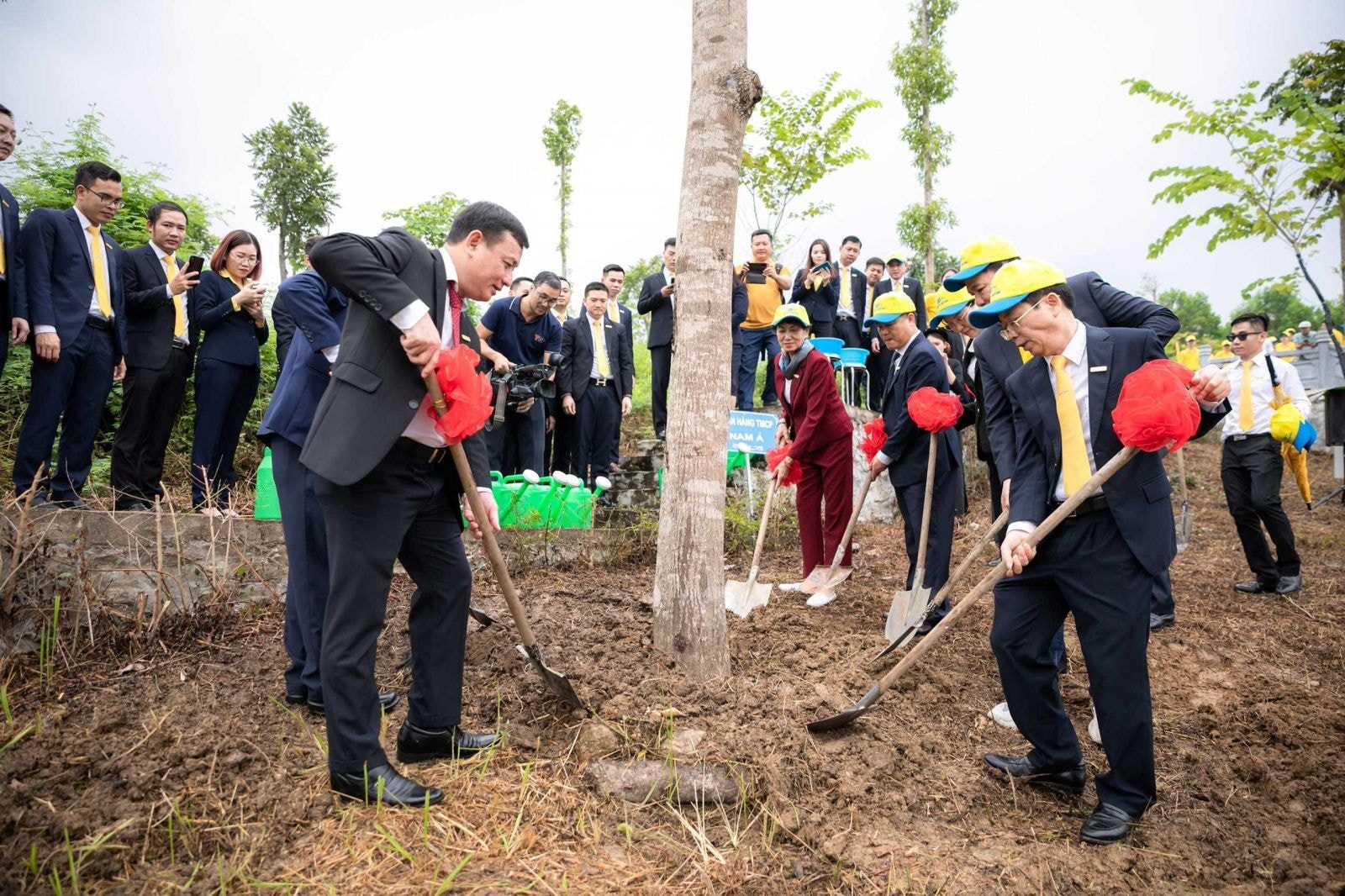 Nam A Bank trồng cây lưu niệm trong khu di tích ngành ngân hàng.