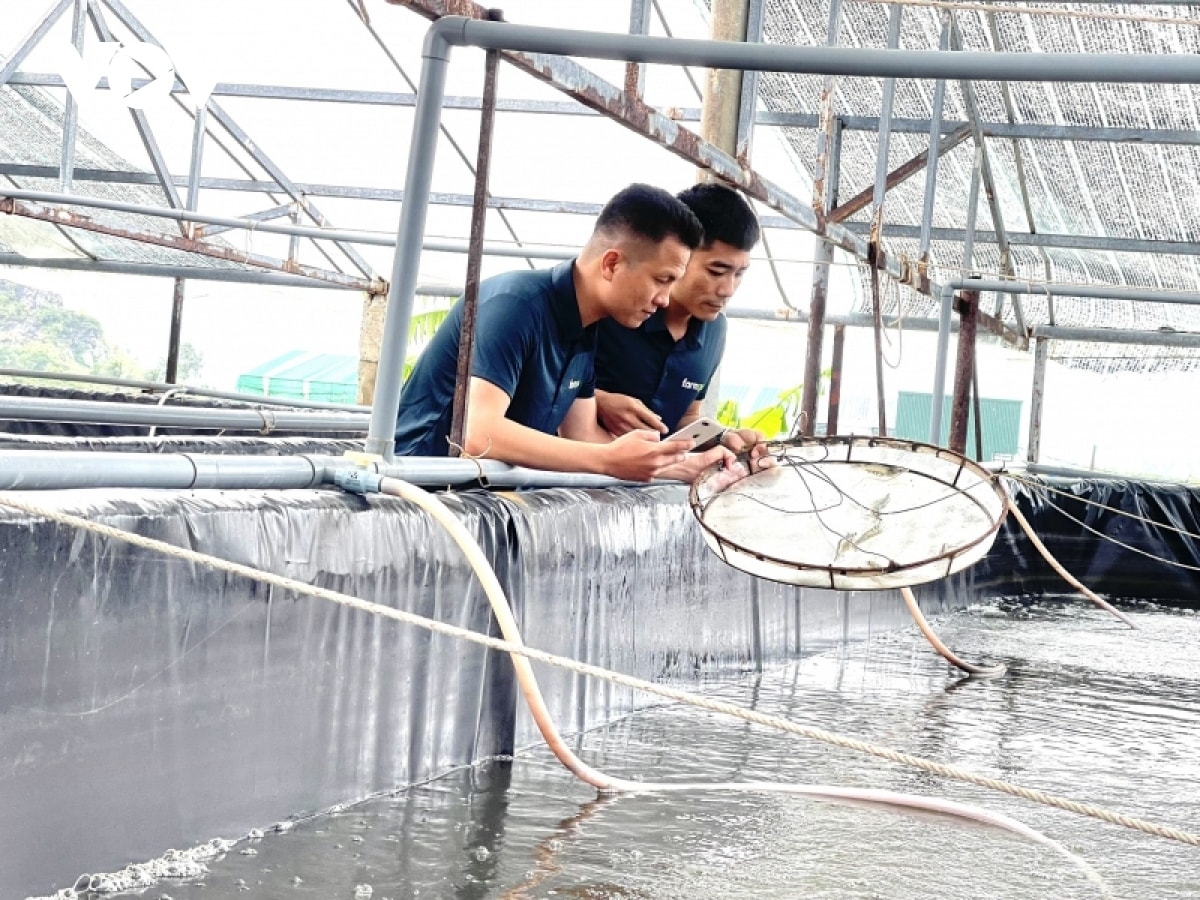 Với phần mềm quản lý trang trại FarmGo, Vũ Đức Tuấn có thể quản lý và vận hành trang trại từ xa, đồng thời giảm bớt chi phí và công sức lao động.