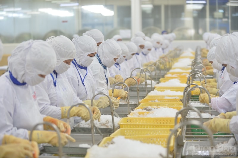 Ngân hàng Standard Chartered mới đây đã nâng dự báo tăng trưởng GDP của Việt Nam từ 6,7% lên 7,5% cho năm 2022 và từ 7% lên 7,2% cho năm 2023