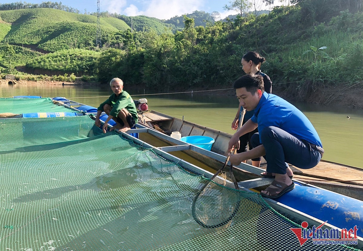 Anh Mùi kiểm tra các lồng cá sắp đến giai đoạn thu hoạch - Ảnh: Trần Tuyên