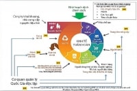Phát triển kinh tế tuần hoàn còn nhiều rào cản