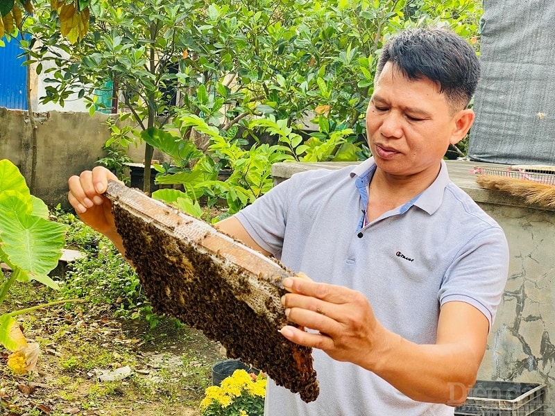 Hải Phòng hiện có khoảng 126 sản phẩm được cấp giấy chứng nhận sản phẩm OCOP