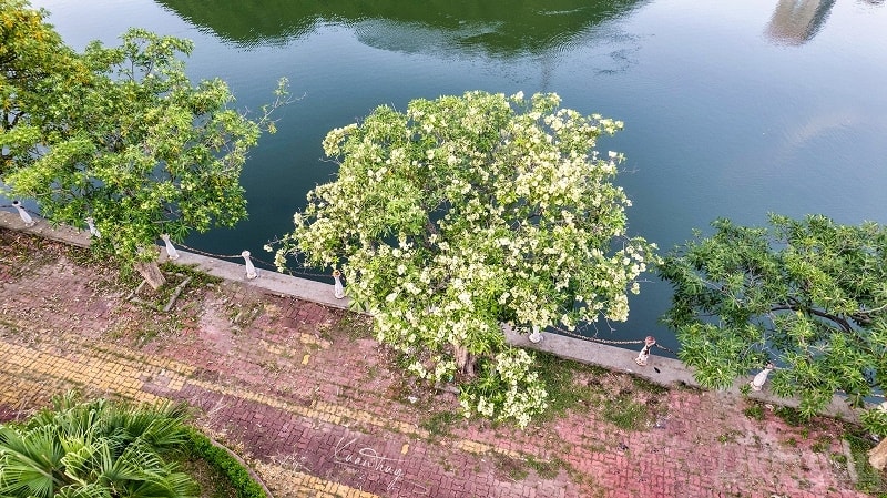 Mùa thu là dịp lý tưởng để du khách thưởng ngoạn, khám phá vẻ đẹp hoang sơ, và khí hậu trong lành của quần đảo Cát Bà. (ảnh Xuân Thủy)