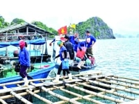 Quảng Ninh: Gian nan hành trình “gỡ thẻ vàng” cuối cùng của EC