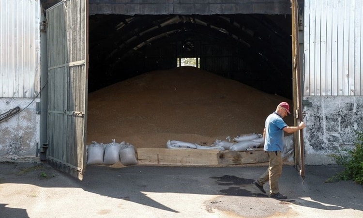 Kho trữ lúa mì của một nông dân ở làng Khreshchate, vùng Chernihiv, phía bắc Ukraine. Ảnh: Reuters.