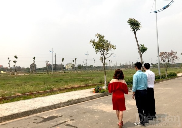 rất khó để xác định quyền sử dụng đất thuộc về thành viên nào trong hộ gia đình cho hợp lý và chính xác.
