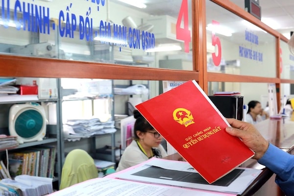 PGS.TS Nguyễn Thị Nga