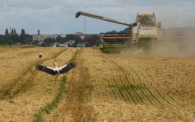 Nga đình chỉ thỏa thuận ngũ công với Ukraine. Ảnh: Reuters