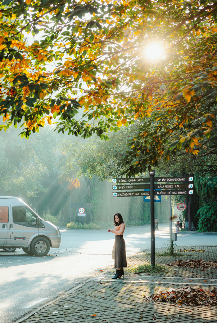 “Mùa thu Hàn Quốc” cách Hà Nội chỉ 14km. Ảnh Phí Đức Toàn