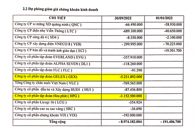 DHA đã phải trích lập dự phòng cho cổ phiếu quốc dân HPG