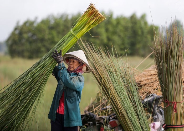 Bà con dân tộc có thể kinh doanh dựa trên nguồn nguyên liệu sẵn có của địa phương