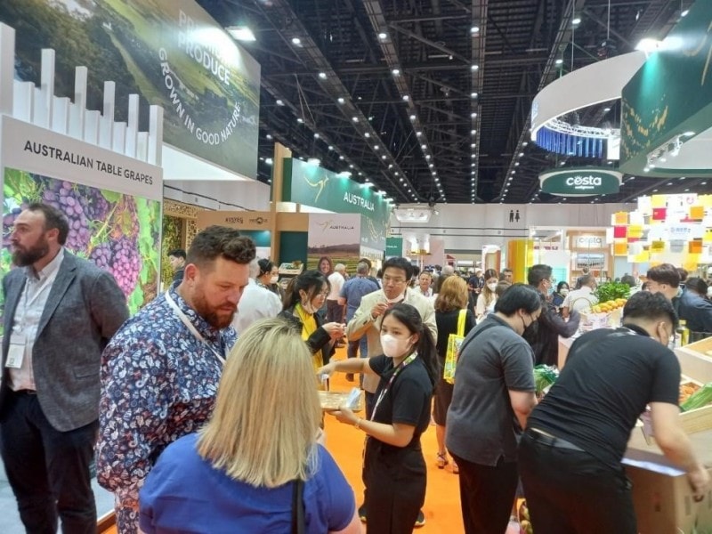 Các doanh nghiệp Việt Nam tìm hiểu thị trường xuất khẩu tại Hội chợ Rau quả Asia Fruit Logistica 2022 vừa được tổ chức ở Thái Lan