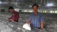 Bí quyết khởi nghiệp thành công của Giám đốc HTX Sơn Nam