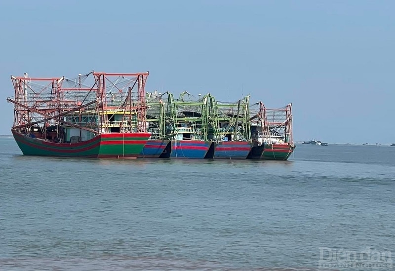 Từ một tỉnh trong nhiều năm bị Bộ Nông nghiệp và Phát triển nông thôn nhắc nhở, cảnh báo còn nhiều tồn tại trong thực hiện các giải pháp chống khai thác hải sản bất hợp pháp, không báo cáo và không theo quy định (khai thác IUU), đến nay, tỉnh Thái Bình đang quyết tâm giảm thiểu những hạn chế, thiếu sót trong kiểm tra, kiểm soát hoạt động nghề cá trên biển của ngư dân (ảnh minh họa)