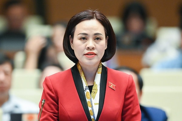đại biểu Trần Thị Hồng Thanh (Ninh Bình). Ảnh: QH