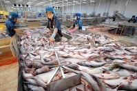 Doanh nghiệp rốt ráo tìm phương kế giữ vị thế xuất khẩu