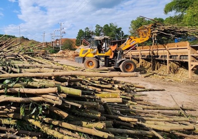 vấn đề hoàn thuế VAT cho các mặt hàng xuất khẩu của ngành gỗ, cao su đang gặp nhiều trở ngại với quy trình xác minh nguồn gốc phức tạp