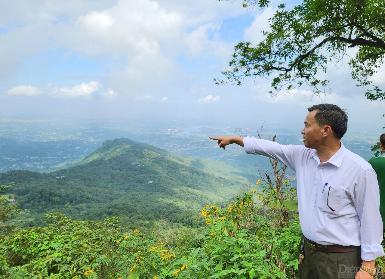 Theo ông Thế, đến thời điểm hiện tại, lượng khách đã tăng đỉnh so với tất cả các mùa hoa dã quỳ trước đây. Những đối tượng khách tham quan rất đa dạng, nhưng đa số là các bạn trẻ học sinh, sinh viên. Qua đó thấy được nhu cầu của khách rất đa dạng, phong phú.