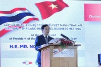 VCCI và TCC thúc đẩy hợp tác doanh nghiệp Việt Nam - Thái Lan trong bối cảnh mới