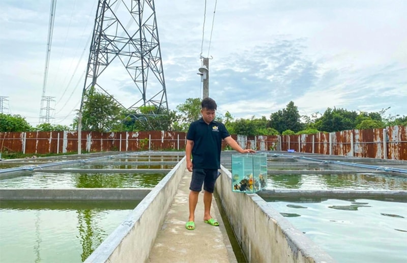 Đạt cho biết sẽ tiếp tục đầu tư thêm nhiều hồ để tăng số lượng cá cung cấp ra thị trường (Ảnh: Nguyễn Vy).