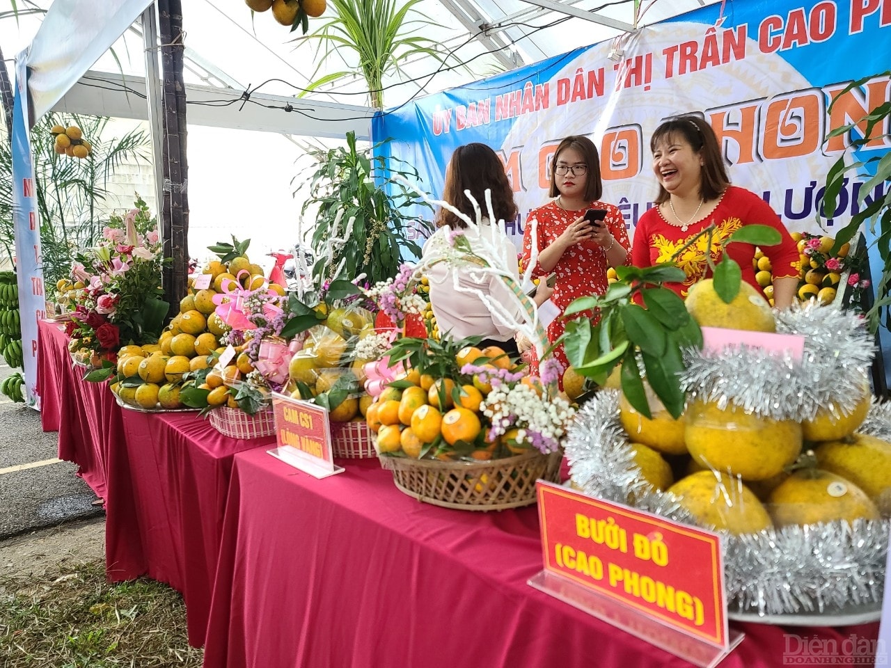 Bưởi đỏ Cao Phong