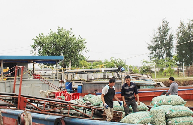 Đưa khoa học và công nghệ để thúc đẩy kinh tế biển phát triển bền vững (ảnh báo Nam Định)