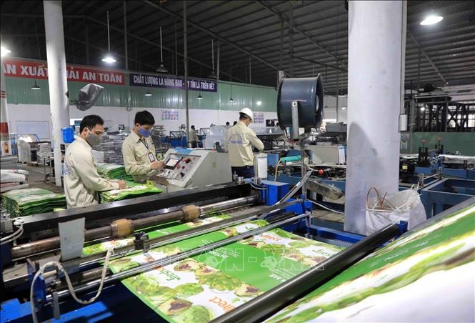 Mặc dù đối diện với nhiều khó khăn nhưng bao bì thân thiện với môi trường có nhiều cơ hội rộng mở trong thời gian tới (Ảnh: sản xuất bao bì tại công ty Bao Bì Thuận Đức, Hưng Yên)