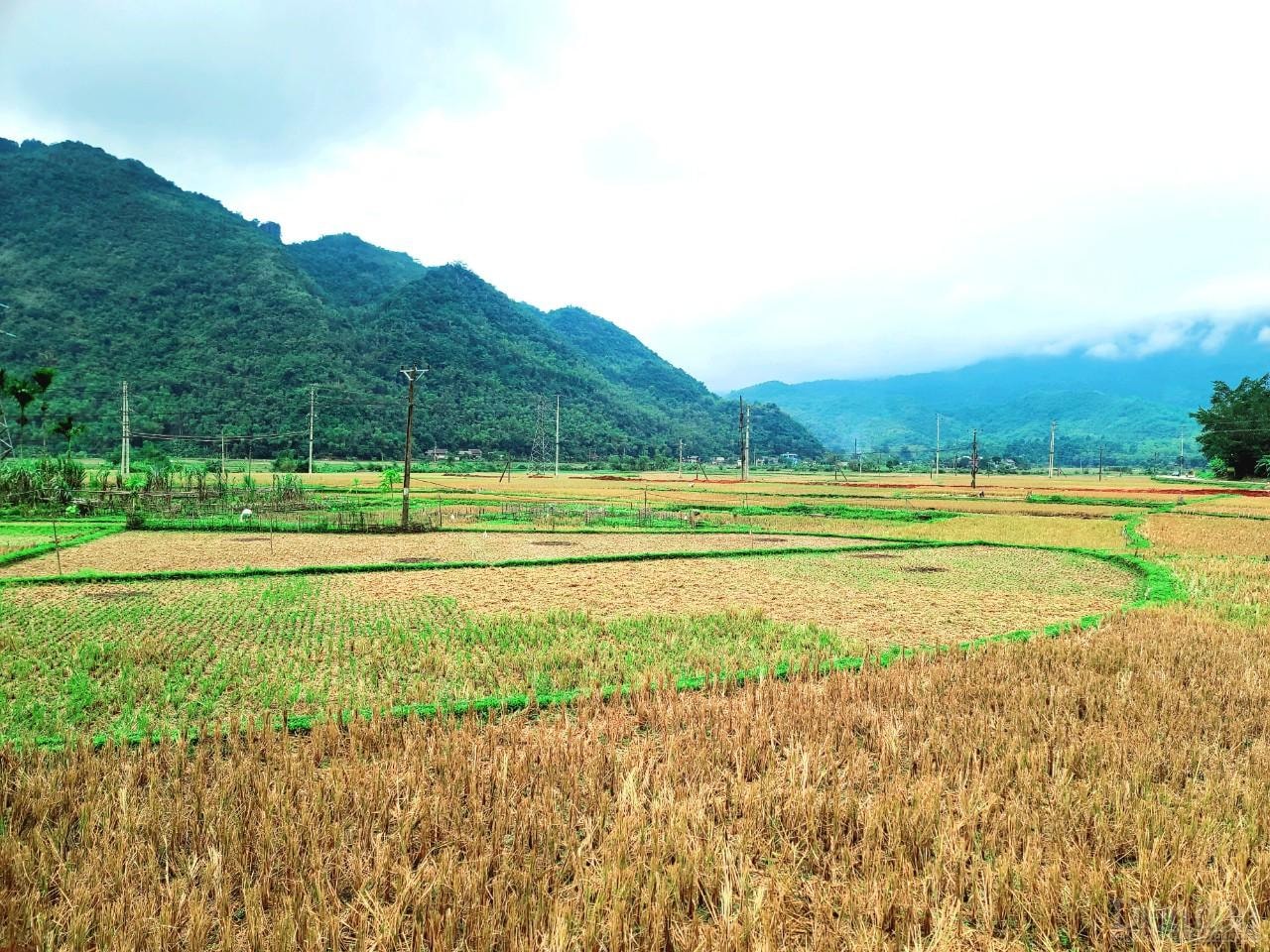 Những bản làng hoang sơ đang là xu hướng du lịch của nhiều du khách trong nước và quốc tế