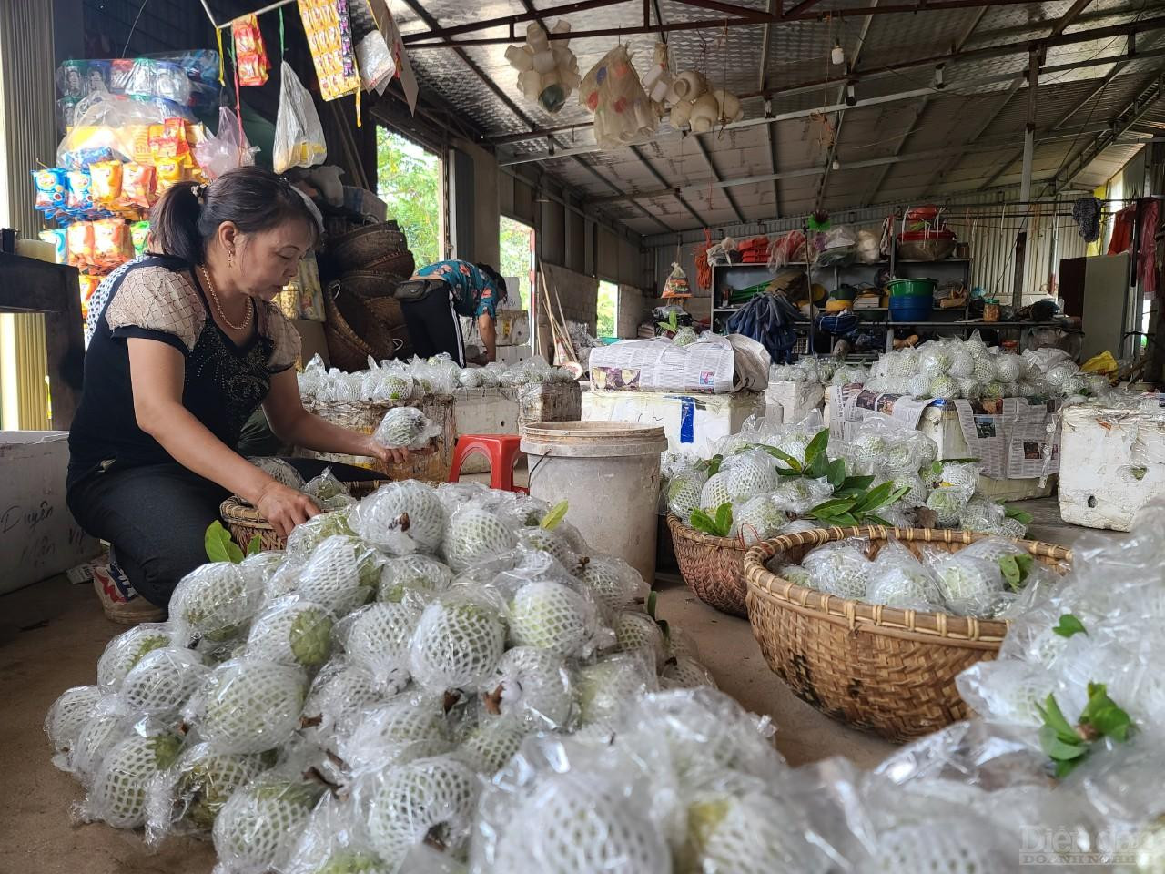 Trồng na không mất nhiều công chăm sóc, đầu tư chi phí không lớn, ít sâu bệnh, lại ít bị mất mùa, giá cả khá ổn định, thương lái hay tìm đến tận vườn để thu mua. Trồng na mang lại hiệu quả kinh tế cao hơn nhiều lần so với trồng lúa hay những cây ăn quả khác. 